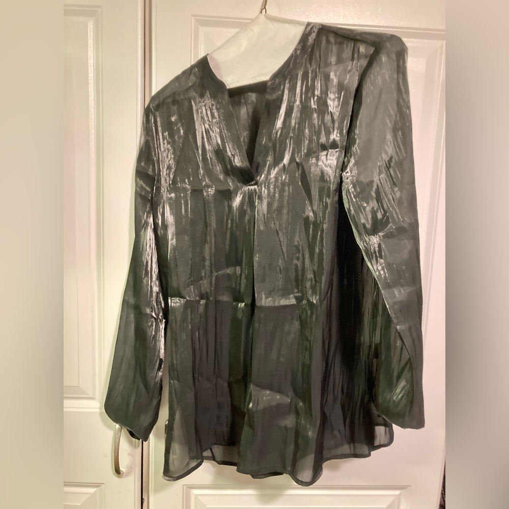 Vince Camuto Black Sheer Long Sleeve Blouse (Medium)